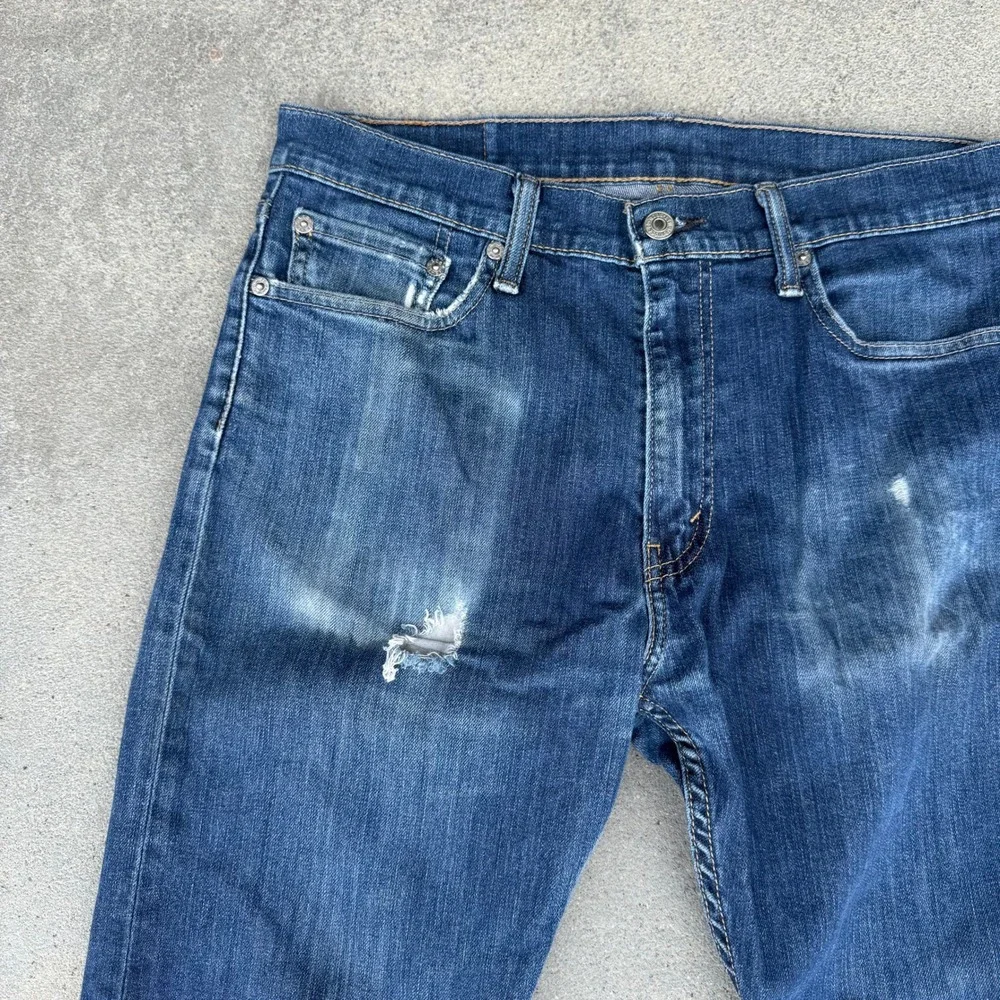 Levis levis 511